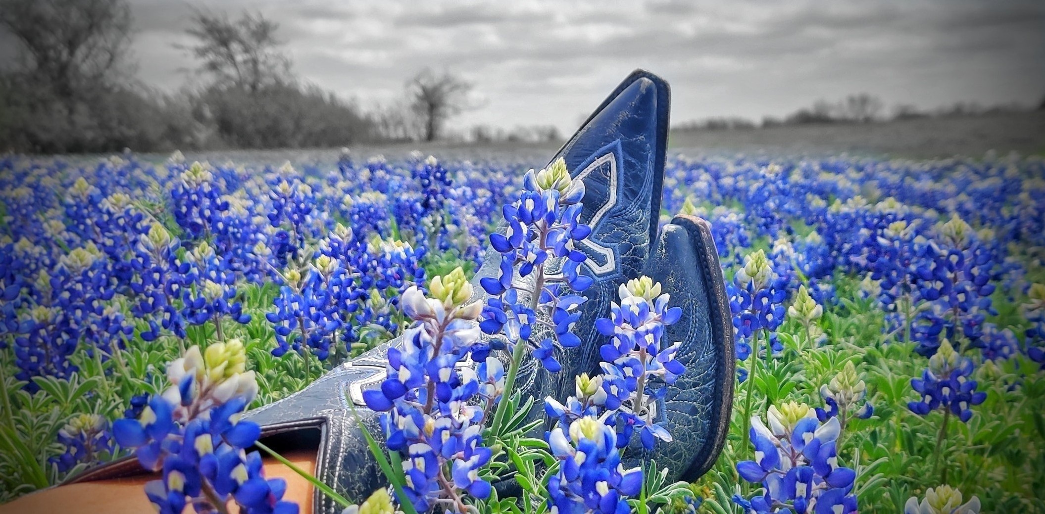 Boots in a Blue Bonnet field